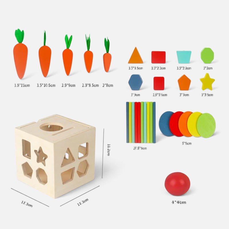 Cube d'activités Montessori Petit Éveil Montessori en bois avec formes géométriques, carottes, bâtonnets et disques colorés