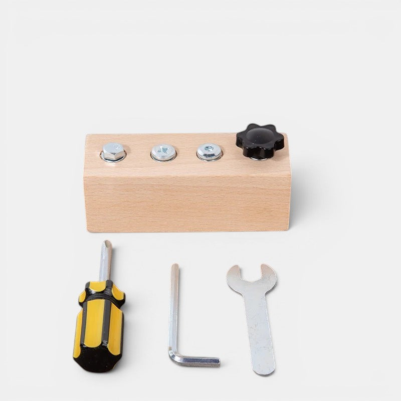 Petit Éveil Montessori : jeu de visserie en bois pour enfants, jouet éducatif pour motricité fine avec tournevis, clé Allen et clé.