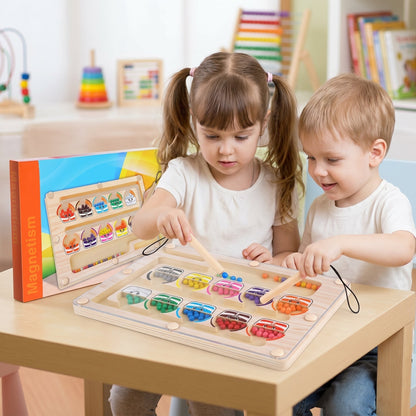 Petit Éveil Montessori Labyrinthe Magnétique de Tri des Couleurs en bois, jeu éducatif pour enfants