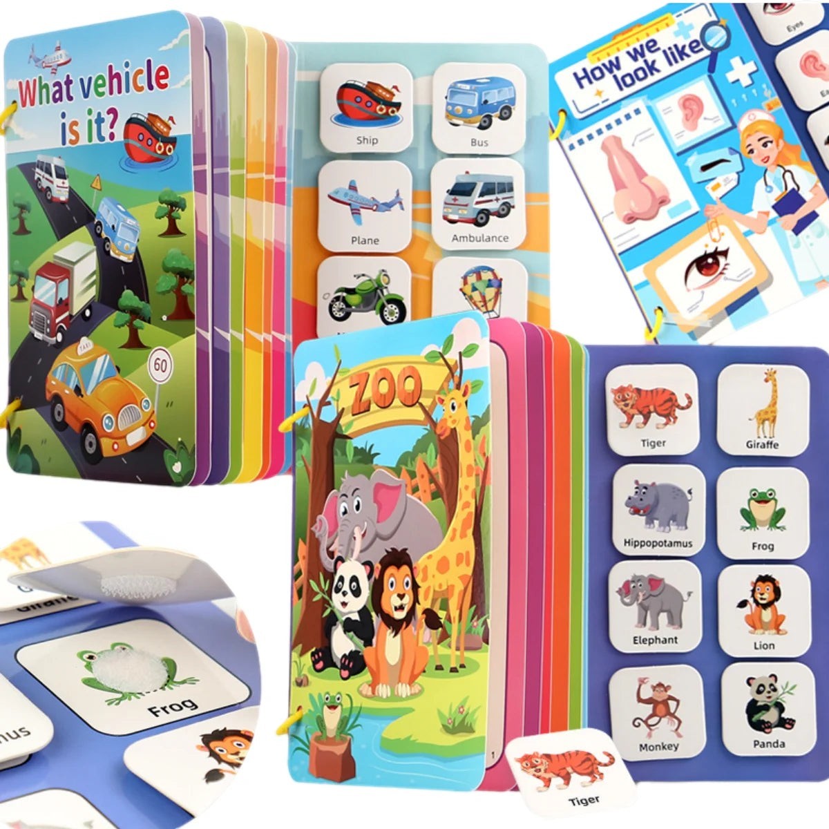 Livre sensoriel Montessori Petit Éveil Montessori avec des cartes interactives sur les véhicules, les animaux et le corps humain.